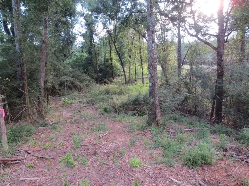 99902E94-82AD-43C3-85EF-9D7338D5631B_1_105_c