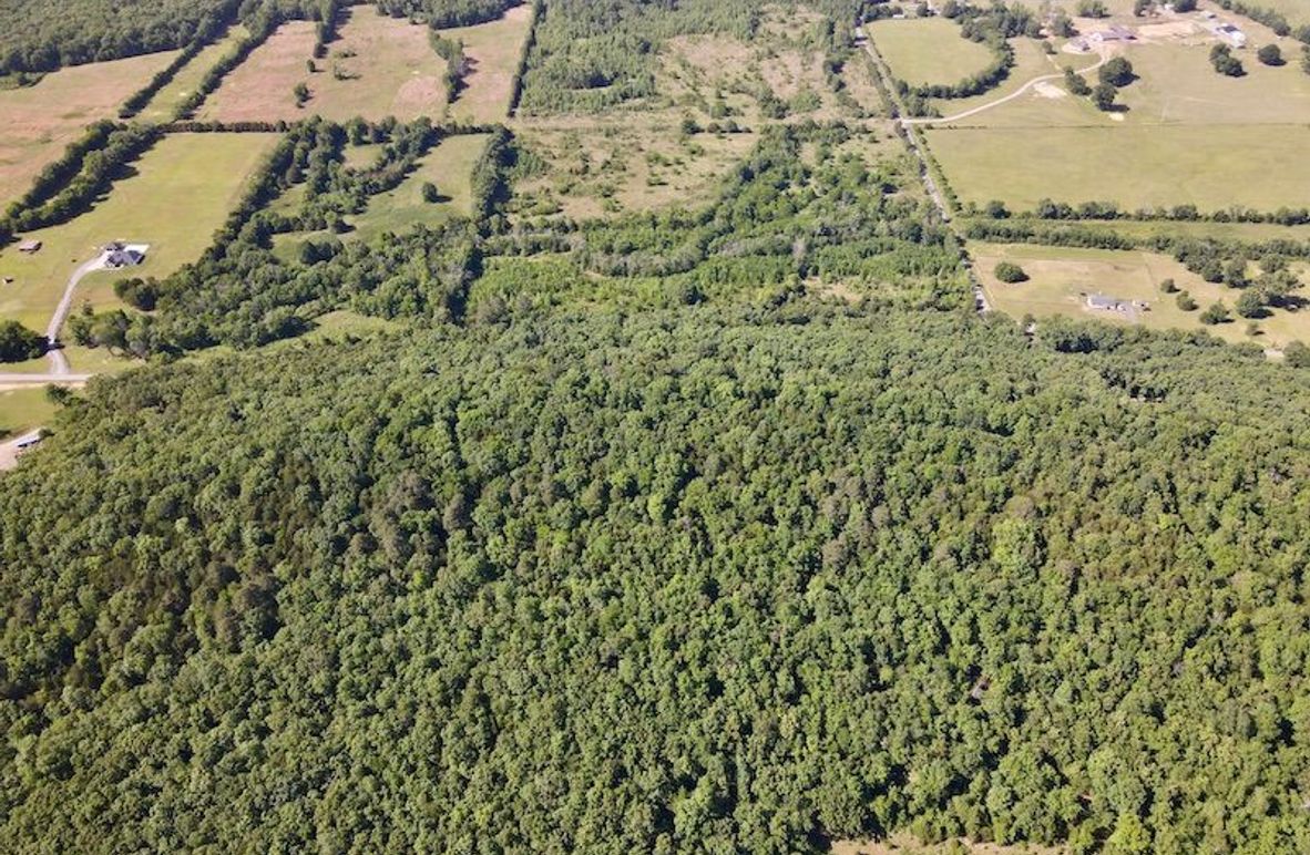 dji_fly_20260513_162220_98_1778780319238_photo
