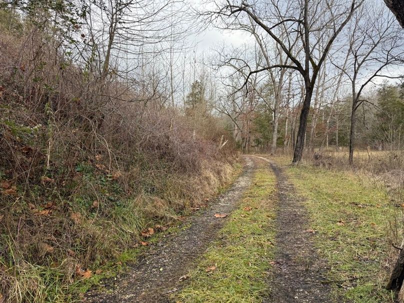 012 the T. Johnson Hollow Road leading through the property