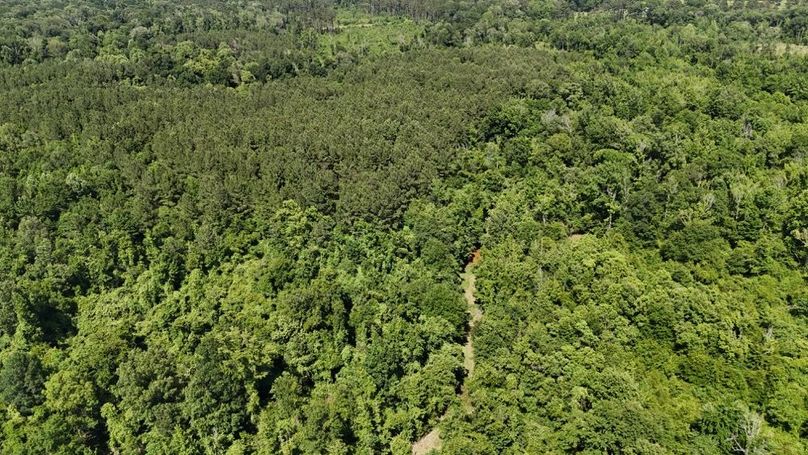 dji_fly_20250526_043952_0007_1748267933352_photo