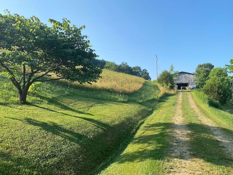 026 the drive way leading from the home to the barn copy