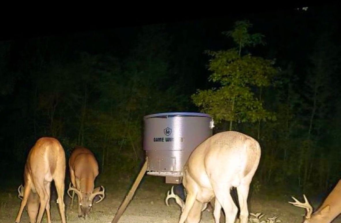 1C1EA46E-BC3F-4289-A160-5E6062A7D6F6_1_105_c-2