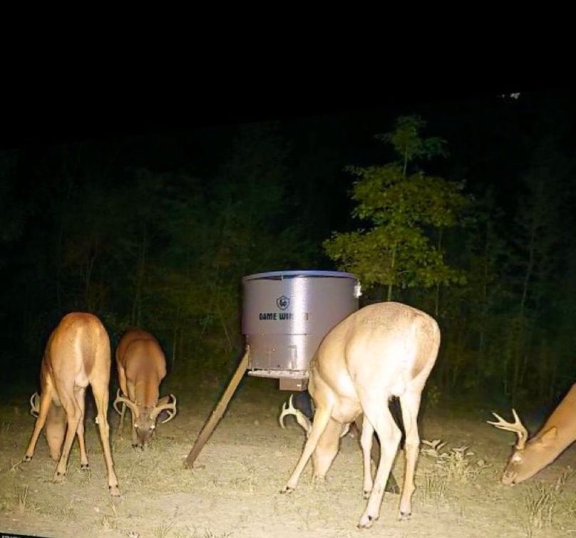 1C1EA46E-BC3F-4289-A160-5E6062A7D6F6_1_105_c-2