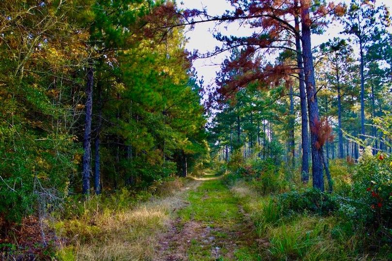 DDE5ECAB-C0D3-48BF-82B8-79F8913123B4_1_105_c