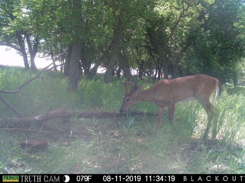 512CE11D-6D20-4AED-A83D-FEB41D99E75C