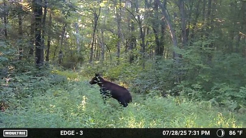 Temp_2066883-20250729113355-100MFCAM_MFDC0644