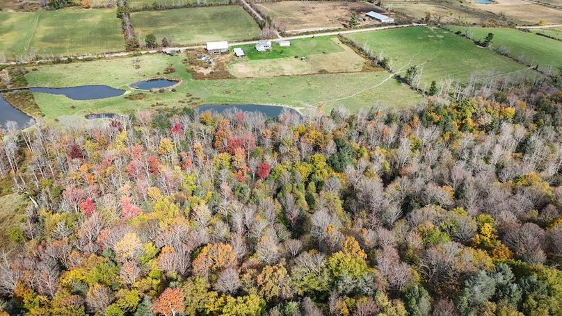 DJI_20251017124902_0704_D