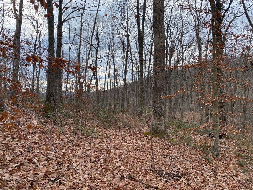 018 flattened point in the northwest corner of the property, perfect for a cabin copy