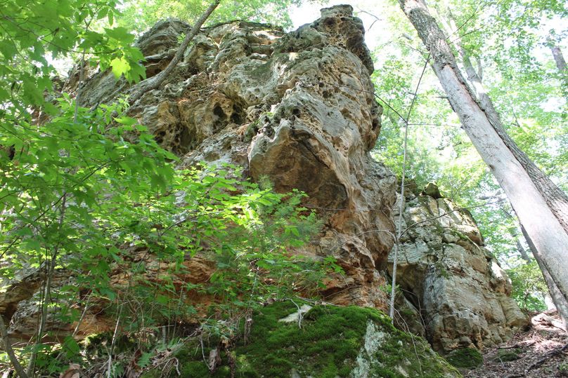 027 one final shot of the amazing rock knob