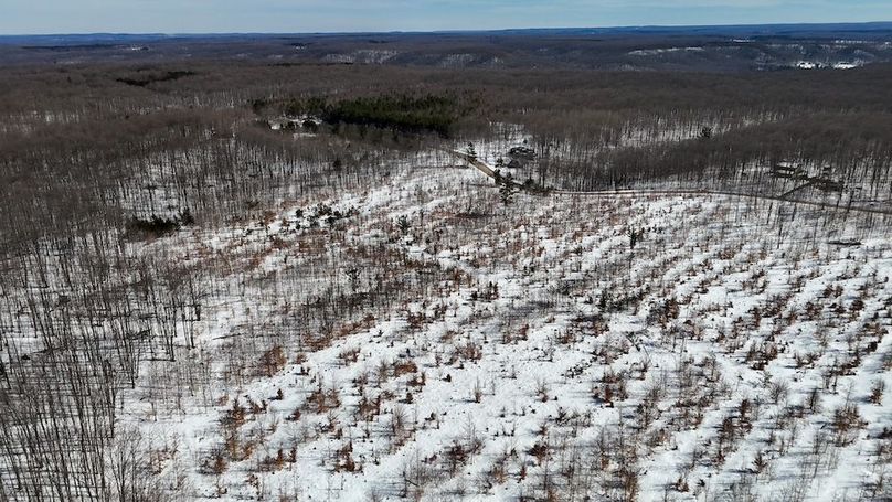 DJI_20260327114804_0351_D