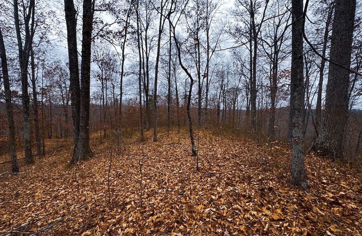 Ritchie, WV 100 AC Harper-01