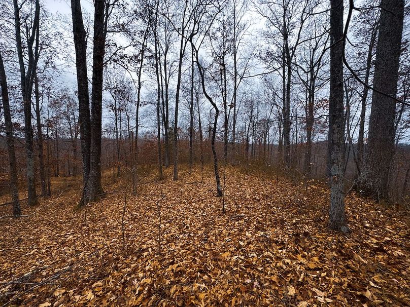 Ritchie, WV 100 AC Harper-01