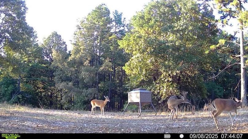 016578004181175-100-4-09082025074407-SYFW00064