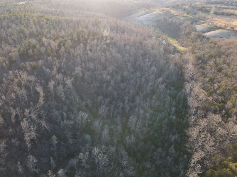 DJI_0313