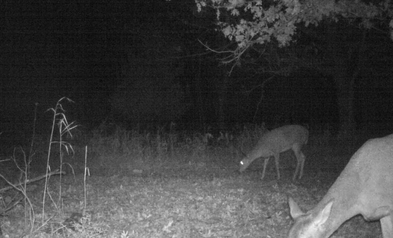 Screenshot 2026-01-05 at 2.46.51 PM