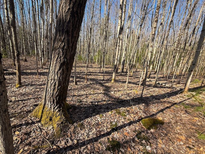 Oswego_16.32_Phillips Photo 9