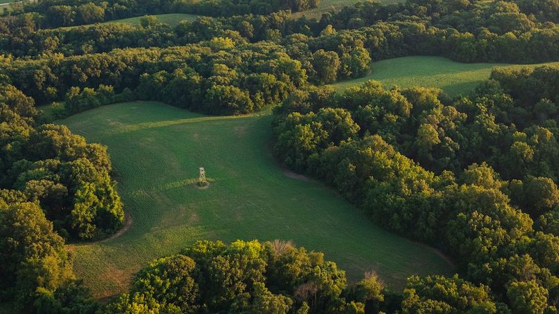 DJI_0130-HDR-2