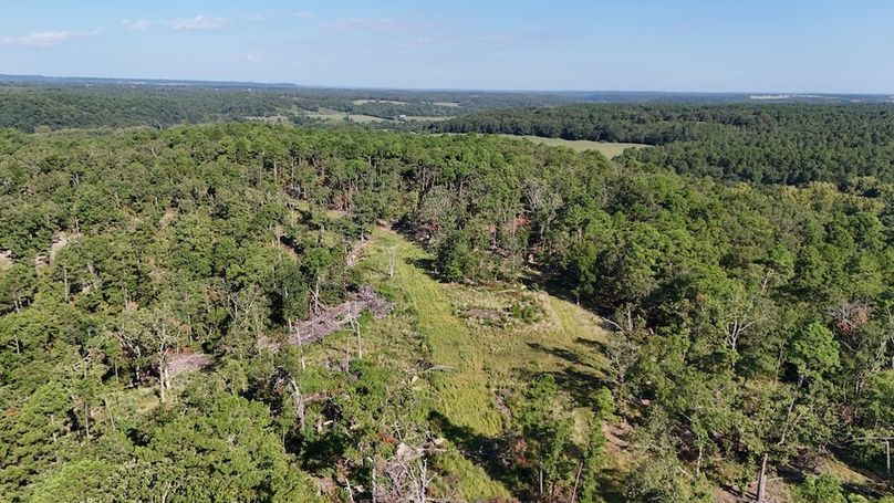 DJI_20250823104205_0130_D