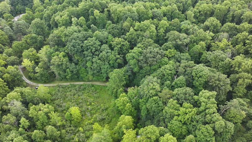 dji_fly_20240711_133416_0226_1720719604586_photo