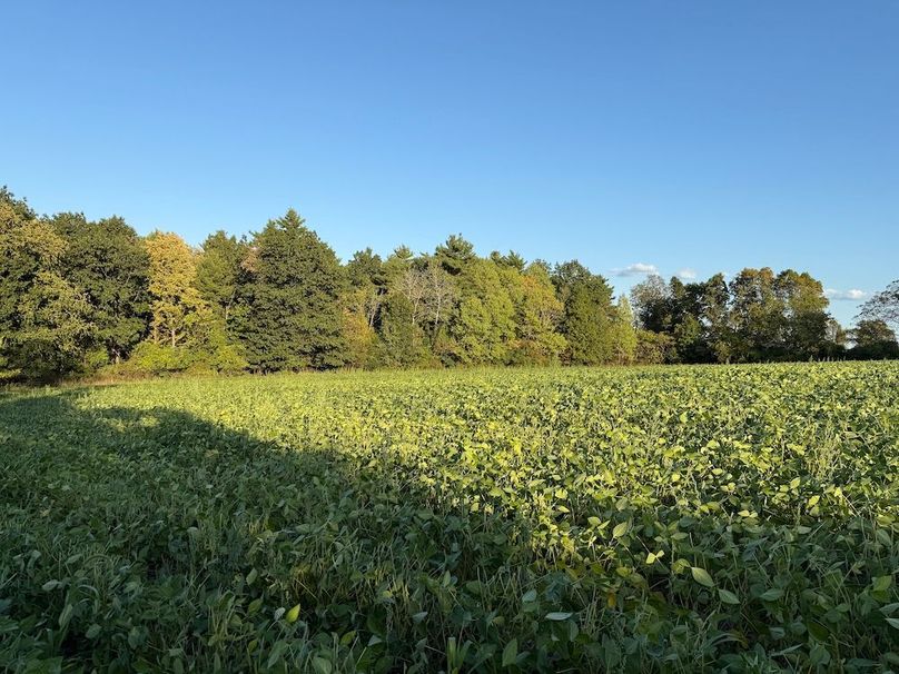 Copy of Wood Tract 6 Photo 7