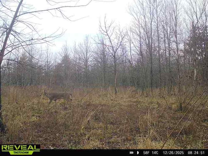 864049051945600-100-1-12262025082450-W1000238