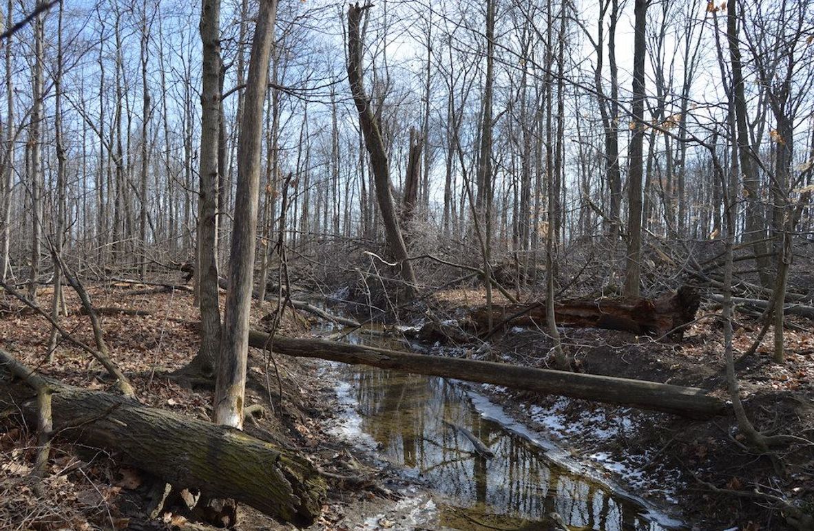 creek at west edge