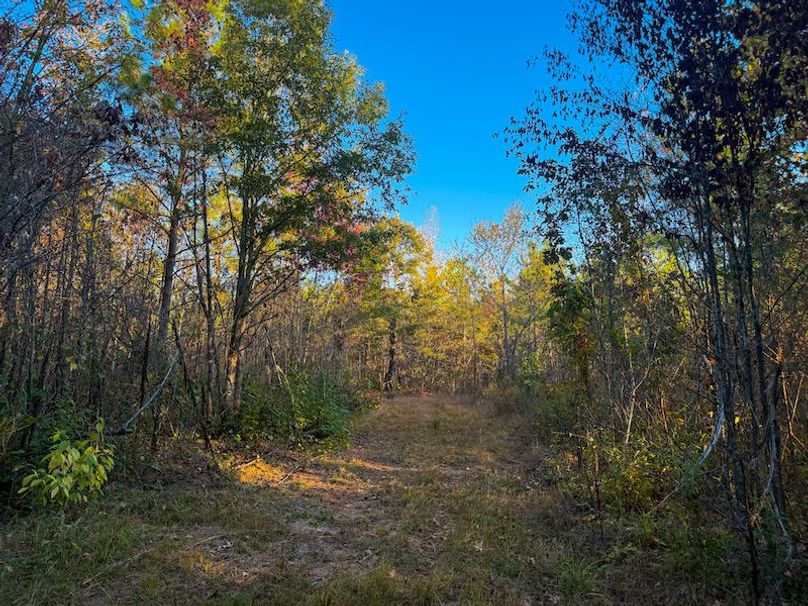 Clay 302.7 Henderson-32