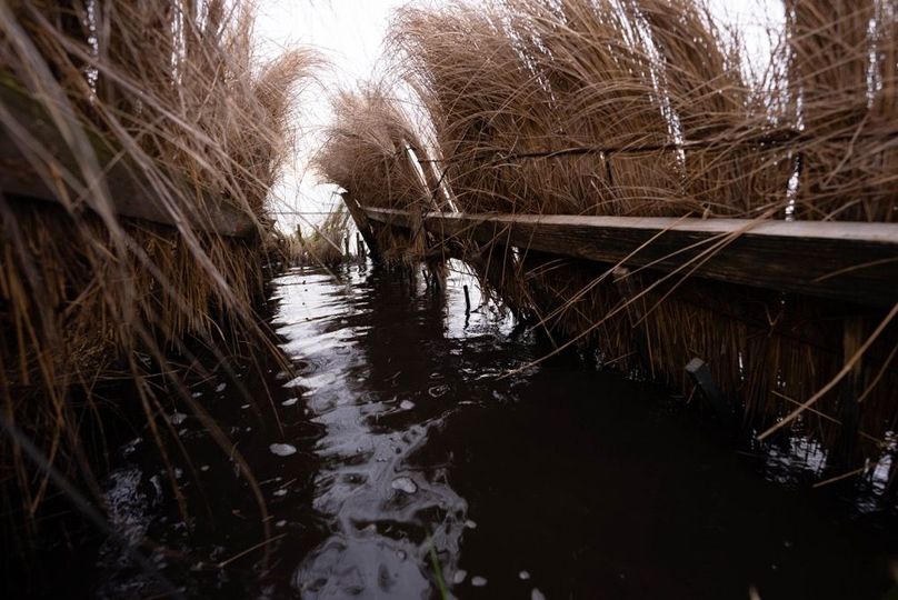 Cameron Parish LA 3,556 Pro Photo-71