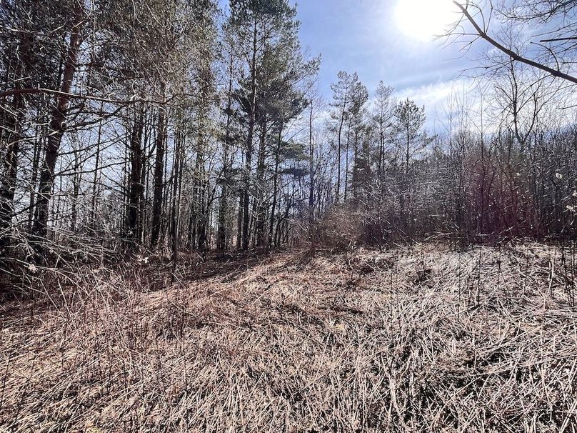 Lewis_26_Somberg Photo 9