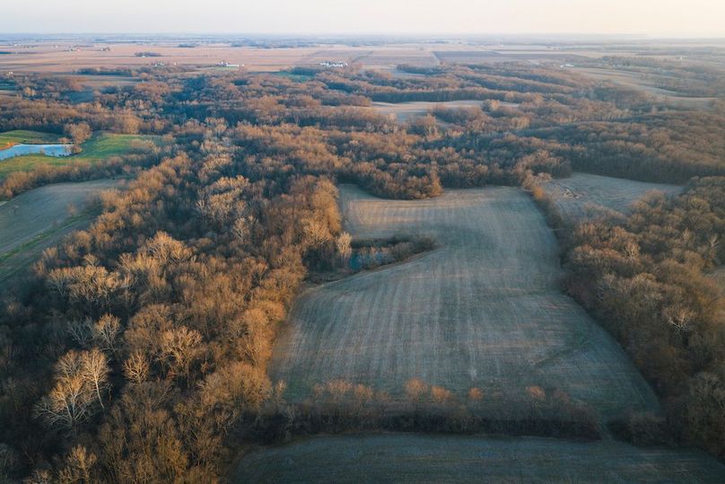 DJI_20260309183122_0322_D