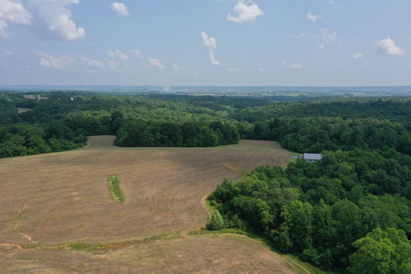 DJI_0361