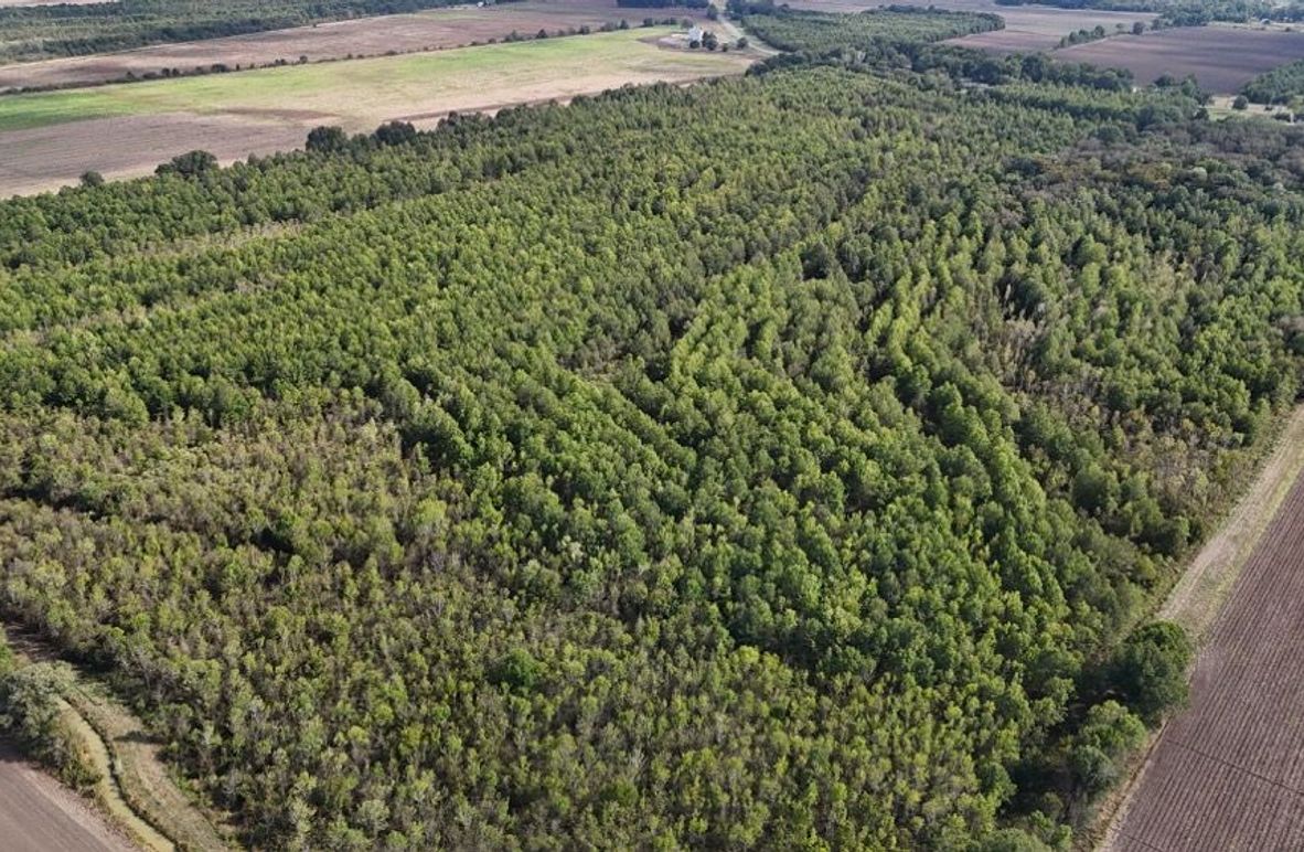 DJI_20251009043546_0780_D (1)