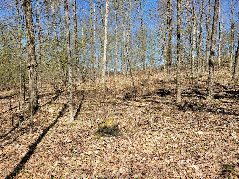 photo_494000000