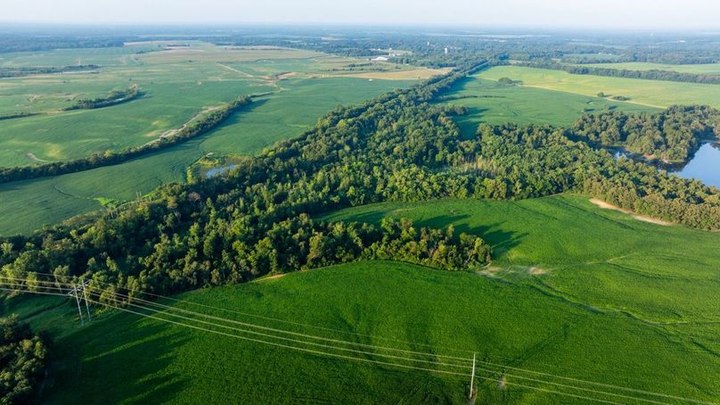 Copy of Copy of DJI_20250807181650_0045_D Large