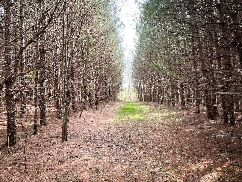 Tioga_76.65_Matyjas_Photos_13