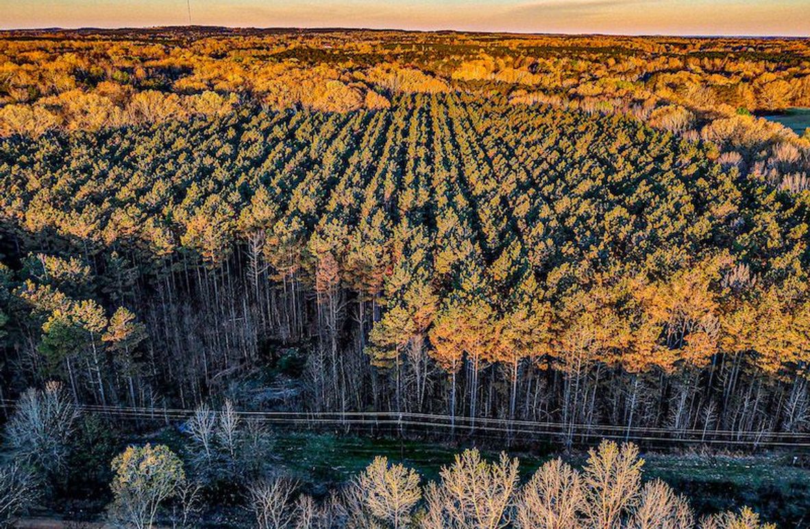 Chickasaw Tract 1-02