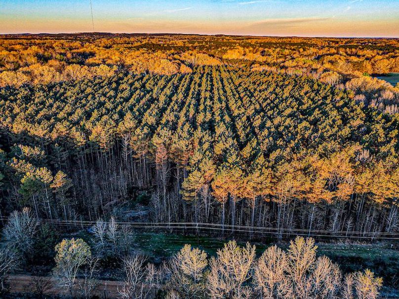 Chickasaw Tract 1-02