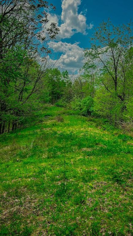 Doddridge, WV 64.69 AC Davis-23