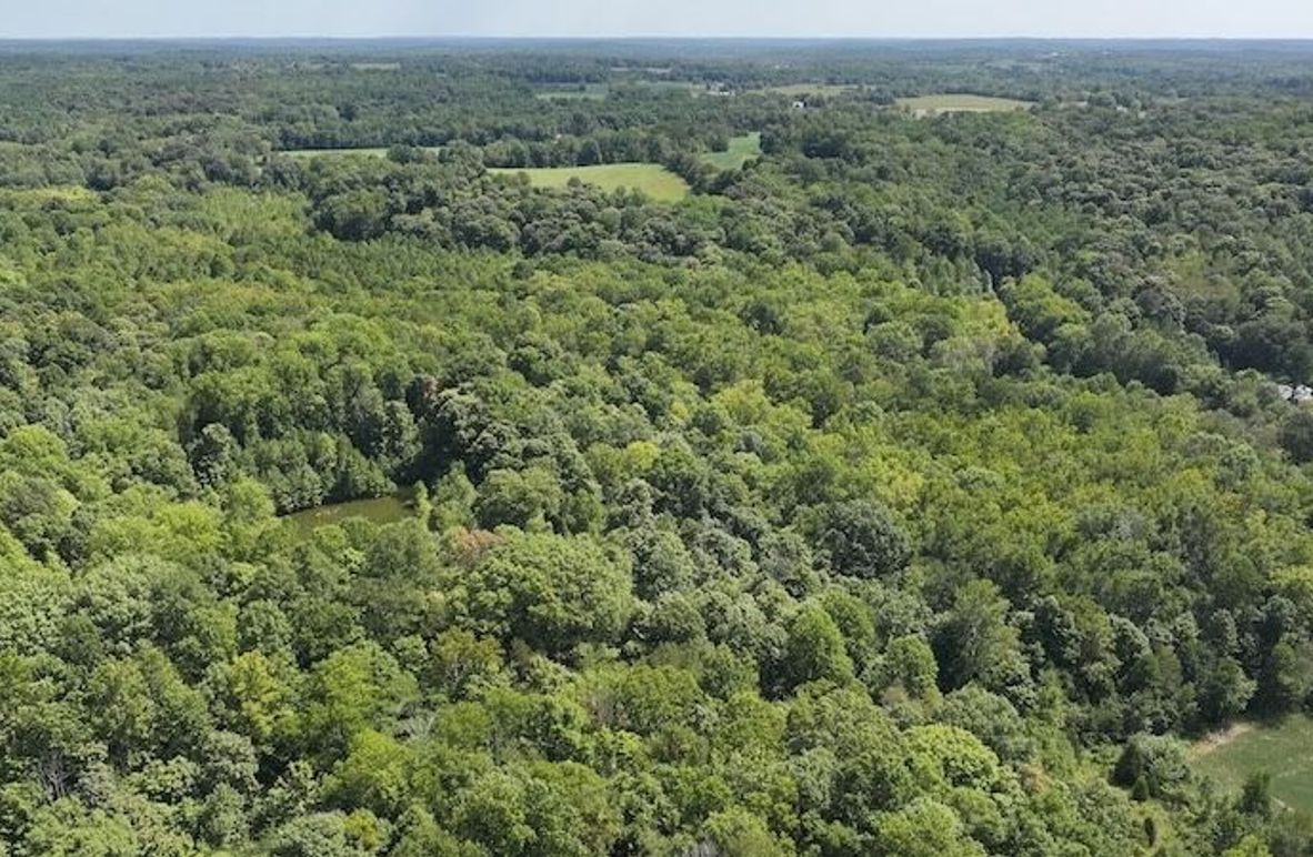 dji_fly_20240904_132624_0368_1725471196477_photo