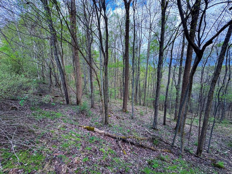 Calhoun, WV 132.84 AC Szegi 2-136