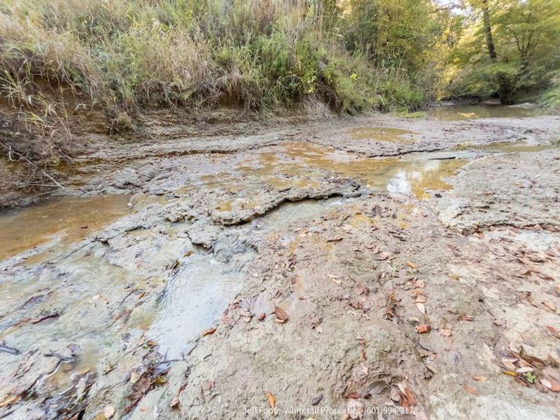 Claiborne Co-189-Geronimo-12