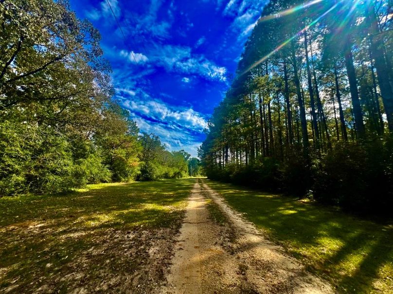 DED34B1F-B97A-4207-AD51-7E9EAF6D3AD3_1_201_a