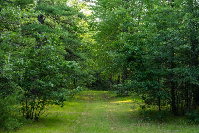 Ogemaw MI 475 Featured Pro Photo-742213