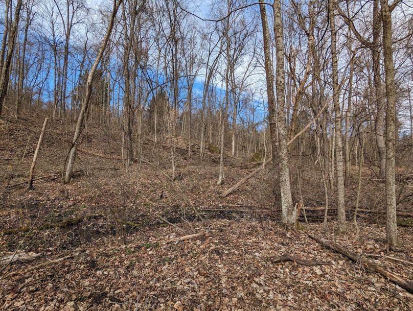 PXL_20230213_170235860