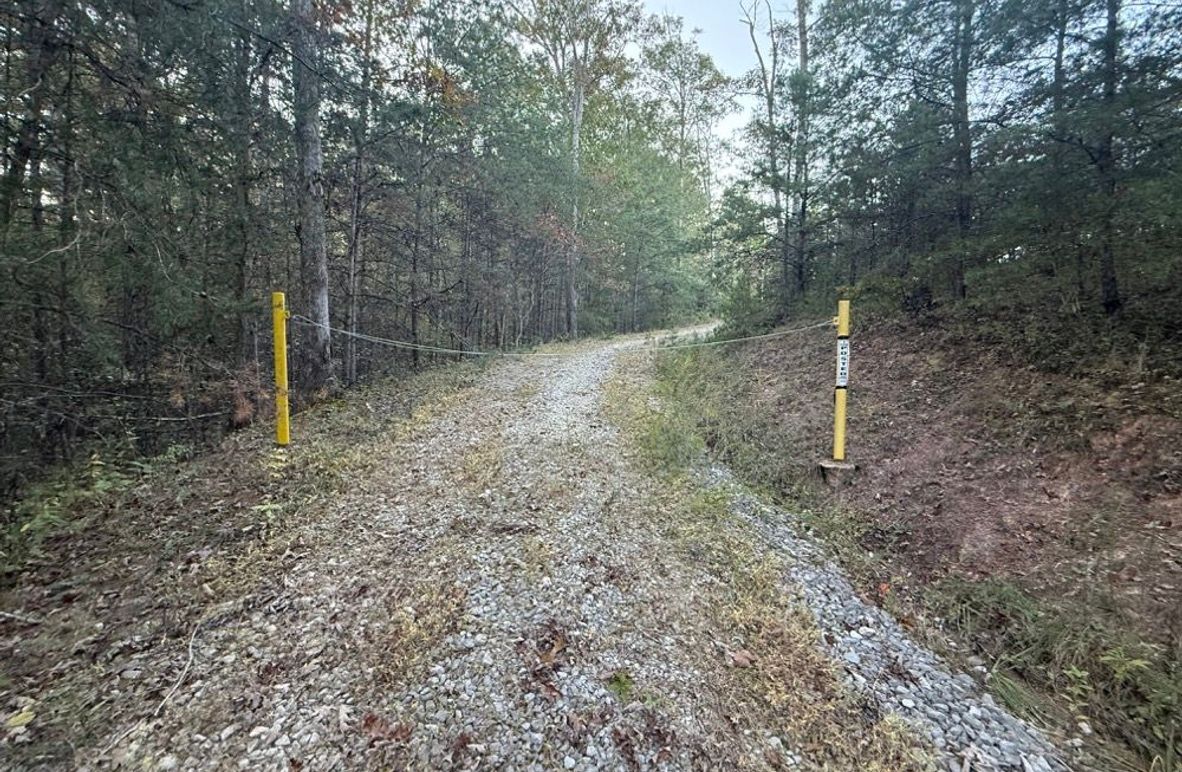 003 the cabled entrance to the property along the east boundary