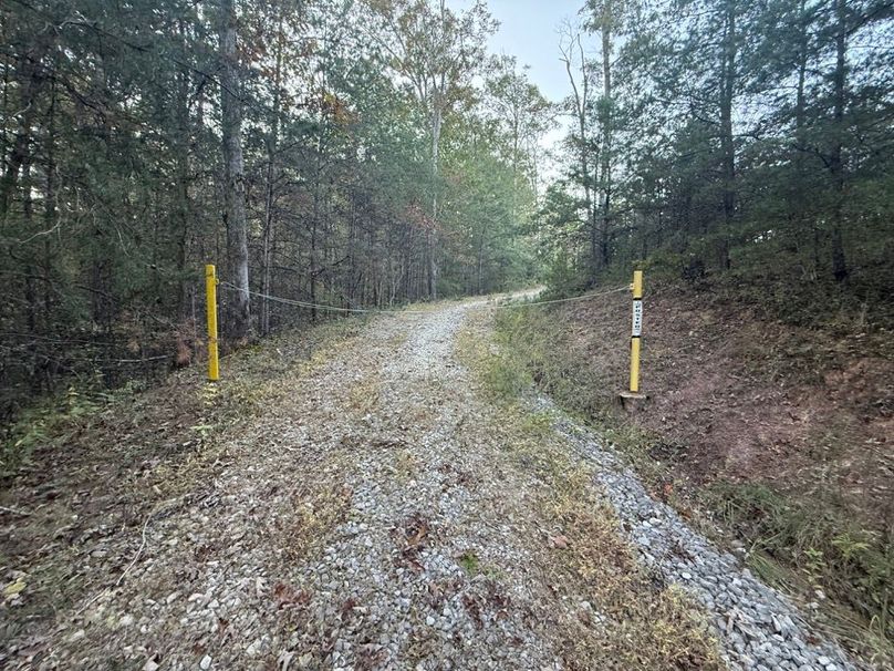 003 the cabled entrance to the property along the east boundary