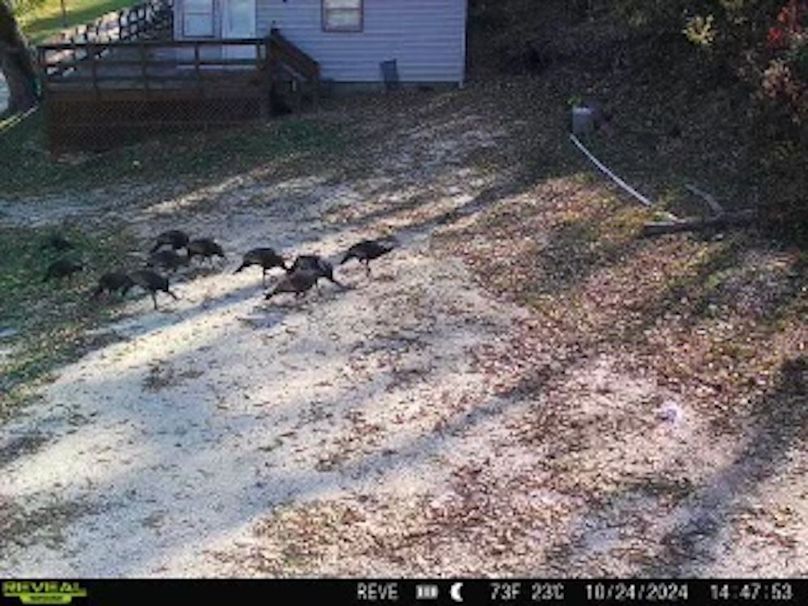 23079A35-2C83-446A-BD11-CD05FA9ADB65_4_5005_c