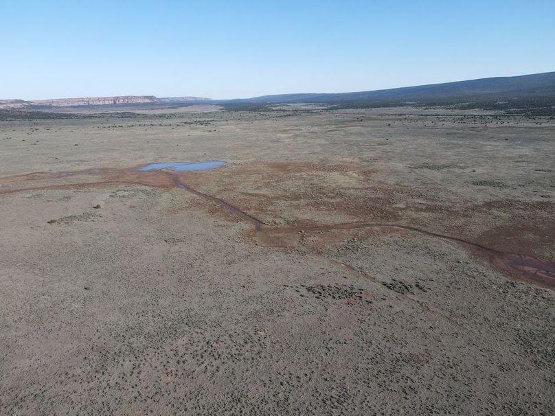 dji_fly_20240504_081020_346_1714831945137_photo