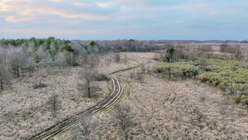 Monroe 80 Driver Dixon (Final Frontier) -30