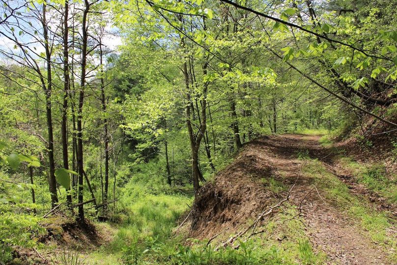 018 beautiful views from the internal road throughout